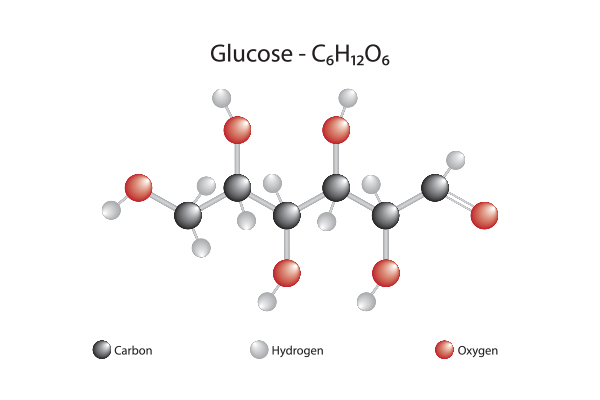 The facts about Glucose  Lifestyle Medical Centers