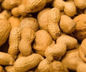 Food Allergies 101